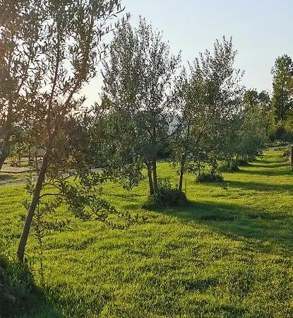 Chimera Tuscany Hotel Arezzo