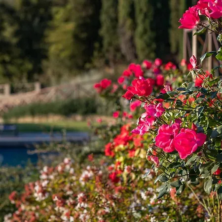 Hotel Chimera Tuscany 4*